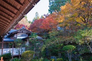 Kyoto, Japonya - Japonya, Kyoto, Ohara 'daki Sanzenin Tapınağı' nda sonbahar yaprağı rengi. Sanzenin Tapınağı 804 yılında kuruldu..