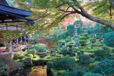 Kyoto, Japonya - Japonya, Kyoto, Ohara 'daki Sanzenin Tapınağı' nda sonbahar yaprağı rengi. Sanzenin Tapınağı 804 yılında kuruldu..