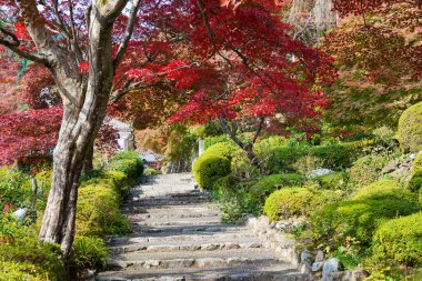 Kyoto, Japonya - Japonya, Kyoto 'daki Yoshiminedera Tapınağı' nda sonbahar yaprağı rengi. Tapınak aslında 1029 yılında inşa edildi..