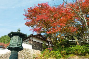 Kyoto, Japonya - Japonya, Kyoto 'daki Yoshiminedera Tapınağı' nda sonbahar yaprağı rengi. Tapınak aslında 1029 yılında inşa edildi..
