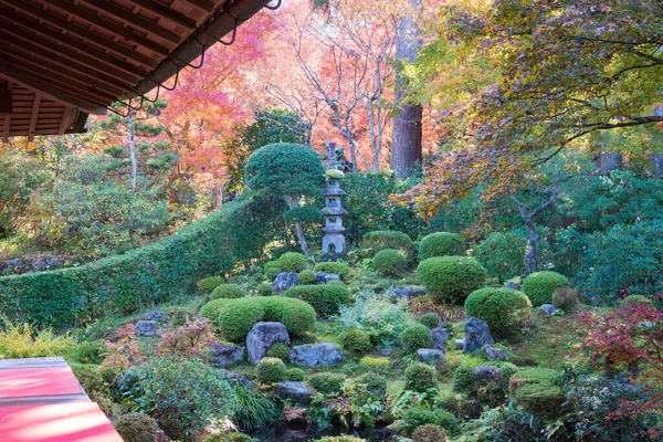 Kyoto, Japonya - Japonya, Kyoto, Ohara 'daki Sanzenin Tapınağı' nda sonbahar yaprağı rengi. Sanzenin Tapınağı 804 yılında kuruldu..