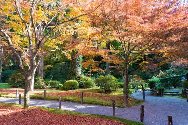 Kyoto Japan Herbstblattfarbe Sanzenin Tempel Ohara Kyoto Japan Tempel Von — Stockfoto