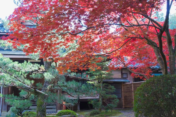 Kyoto Japan Herbstblattfarbe Ikkyuji Tempel Shuon Kyotanabe Kyoto Japan — Stockfoto