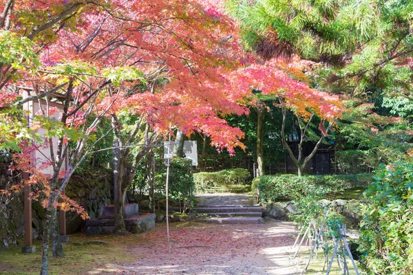 Kioto Japonia Jesienny Kolor Liści Ikkyuji Temple Shuon Kyotanabe Kioto — Zdjęcie stockowe