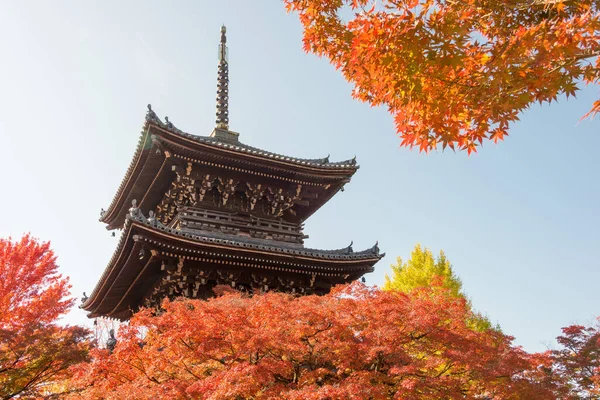 Киото Япония Осенний Цвет Листа Храме Синнедо Киото Япония Храм — стоковое фото