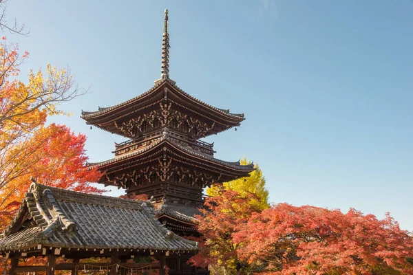 Kyoto Japon Couleur Des Feuilles Automne Temple Shinnyodo Kyoto Japon — Photo