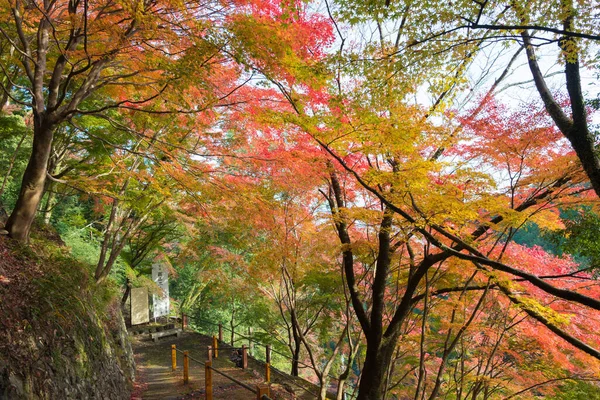 Kioto Japonia Jesienny Kolor Liści Yoshiminedera Temple Kioto Japonia Świątynia — Zdjęcie stockowe