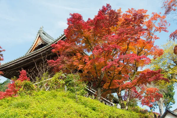 Kyoto Japan Autumn Leaf Color Yoshiminedera Temple Kyoto Japan Temple — Stock Photo, Image