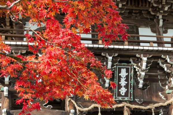 Киото Япония Осенний Цвет Листа Храме Ёсиминедера Киото Япония Храм — стоковое фото