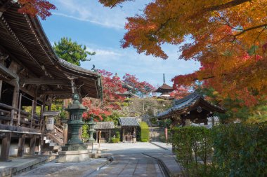 Kyoto, Japonya - Japonya, Kyoto 'daki Yoshiminedera Tapınağı' nda sonbahar yaprağı rengi. Tapınak aslında 1029 yılında inşa edildi..