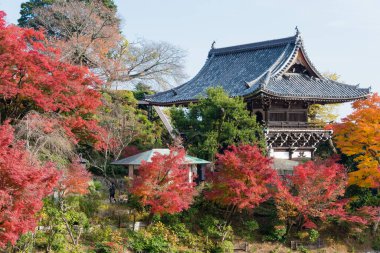 Kyoto, Japonya - Japonya, Kyoto 'daki Yoshiminedera Tapınağı' nda sonbahar yaprağı rengi. Tapınak aslında 1029 yılında inşa edildi..
