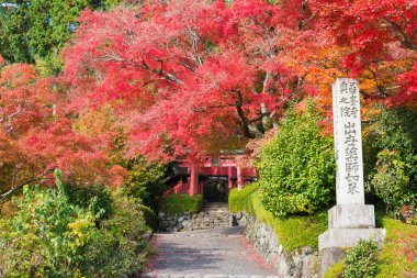 Kyoto, Japonya - Japonya, Kyoto 'daki Yoshiminedera Tapınağı' nda sonbahar yaprağı rengi. Tapınak aslında 1029 yılında inşa edildi..