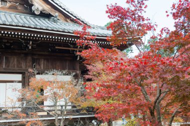 Kyoto, Japonya - Japonya 'nın Nagaokakyo kentindeki Komyoji Tapınağı' nda sonbahar yaprağı rengi. Tapınak ilk olarak 1198 yılında inşa edildi..