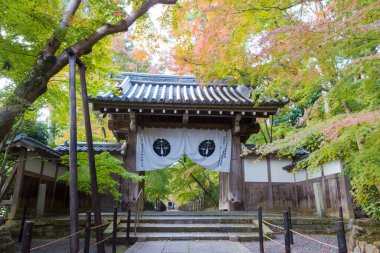 Kyoto, Japonya - Japonya 'nın Nagaokakyo kentindeki Komyoji Tapınağı' nda sonbahar yaprağı rengi. Tapınak ilk olarak 1198 yılında inşa edildi..