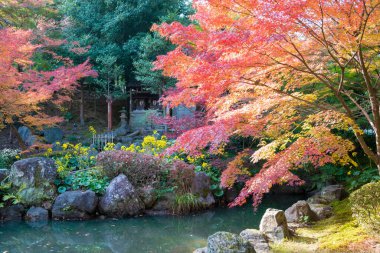 Kyoto, Japonya - Japonya Nagaoka Tenmangu Tapınağı 'nda sonbahar yaprağı rengi. Tapınak 1000 yıllık bir tarihti..