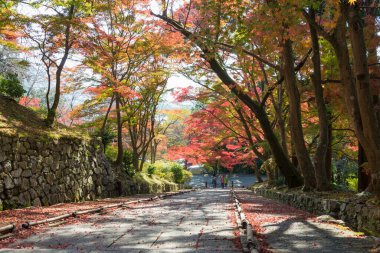Kyoto, Japonya - Japonya 'nın Yamashina kentindeki Bishamondo Tapınağı' nda sonbahar yaprağı rengi. Tapınak ilk olarak 703 yılında inşa edildi..