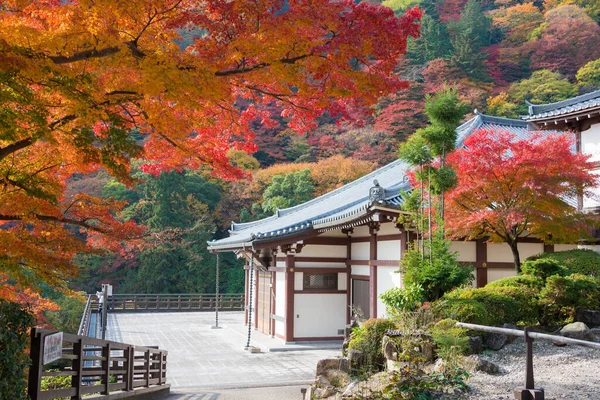 Kioto Japonia Jesienny Kolor Liści Yoshiminedera Temple Kioto Japonia Świątynia — Zdjęcie stockowe