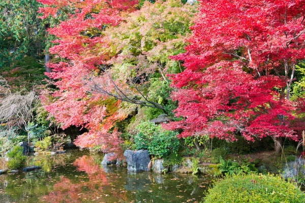Kyoto Japão Cor Folha Outono Templo Yoshiminedera Kyoto Japão Templo — Fotografia de Stock