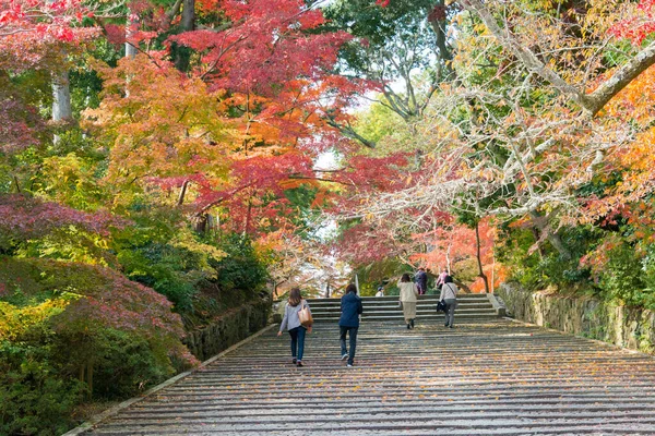 日本京都 日本京都长谷市光明寺的秋叶颜色 圣殿始建于1198年 — 图库照片