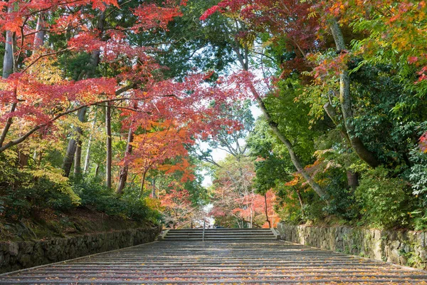 Kyoto Japan Herbstblattfarbe Komyoji Tempel Nagaokakyo Kyoto Japan Der Tempel — Stockfoto