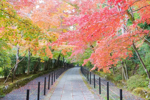 Kyoto Giappone Colore Delle Foglie Autunnali Tempio Komyoji Nagaokakyo Kyoto — Foto Stock