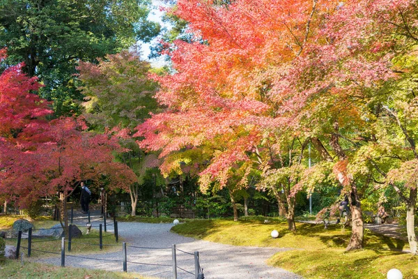 日本京都 日本京都长谷市长冈天门谷寺秋季叶色 神龛有一千多年的历史了 — 图库照片