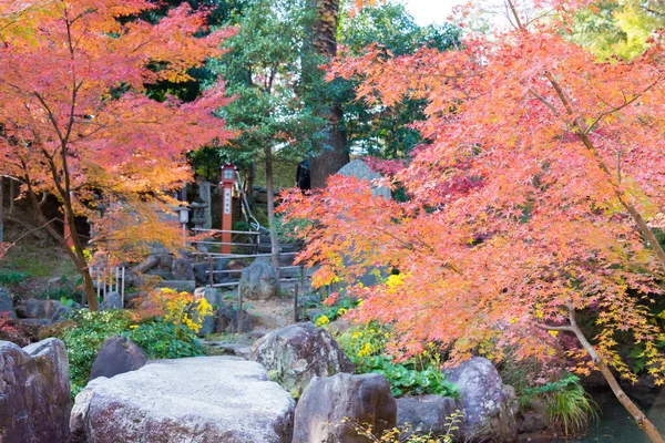 Kyoto Japan Herbstblattfarbe Nagaoka Tenmangu Schrein Nagaokakyo Kyoto Japan Der — Stockfoto