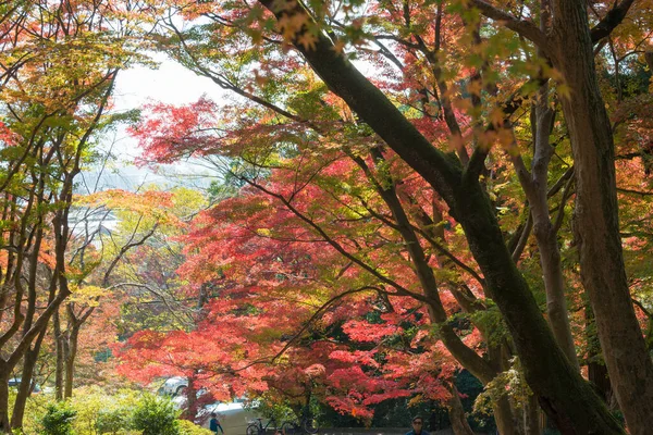 日本京都 日本京都亚穆希纳比萨门多寺的秋叶颜色 圣殿始建于703年 — 图库照片