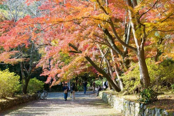 日本京都 日本京都亚穆希纳比萨门多寺的秋叶颜色 圣殿始建于703年 — 图库照片