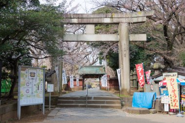 Tokyo, Japonya - 19 Aralık 2021 Ueno Park, Tokyo, Japonya 'daki Ueno Toshogu Tapınağı' na yaklaş. 1627 yılında Tokugawa Ieyasu (1543-1616) adanmış bir türbe inşa edilmiştir..