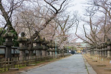 Tokyo, Japonya - 19 Aralık 2021 Ueno Park, Tokyo, Japonya 'daki Ueno Toshogu Tapınağı' na yaklaş. 1627 yılında Tokugawa Ieyasu (1543-1616) adanmış bir türbe inşa edilmiştir..