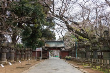 Tokyo, Japonya - 19 Aralık 2021 Ueno Park, Tokyo, Japonya 'daki Ueno Toshogu Tapınağı' na yaklaş. 1627 yılında Tokugawa Ieyasu (1543-1616) adanmış bir türbe inşa edilmiştir..