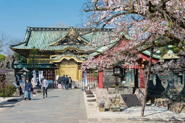 Tokio Japonia Marca 2021 Podejście Sanktuarium Ueno Toshogu Ueno Park — Zdjęcie stockowe