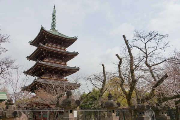 Tokyo Giappone Mar 2021 Pagoda Santuario Ueno Toshogu Nel Parco — Foto Stock