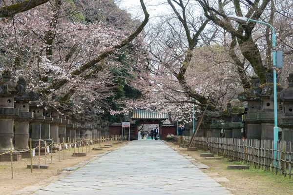 Tokio Japón Marzo 2021 Enfoque Santuario Ueno Toshogu Parque Ueno — Foto de Stock