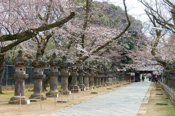 Tokio Japón Marzo 2021 Enfoque Santuario Ueno Toshogu Parque Ueno — Foto de Stock