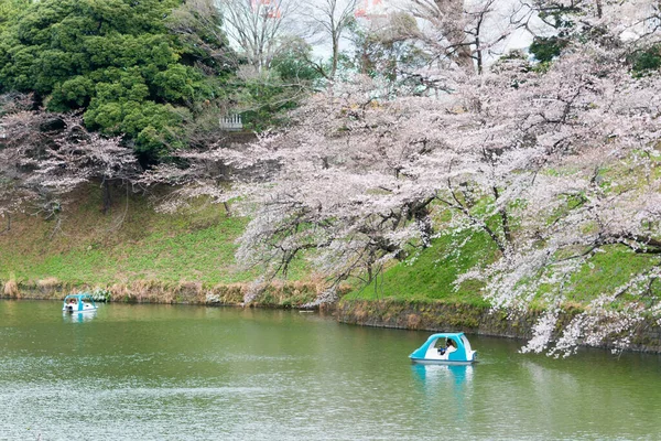 Tóquio Japão Março 2021 Flores Cerejeira Chidorigafuchi Chiyoda Tóquio Japão — Fotografia de Stock