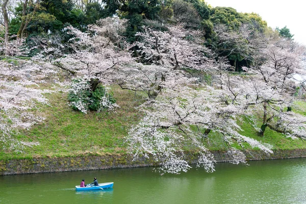 Tokio Japón Mar 2021 Flores Cerezo Chidorigafuchi Chiyoda Tokio Japón — Foto de Stock