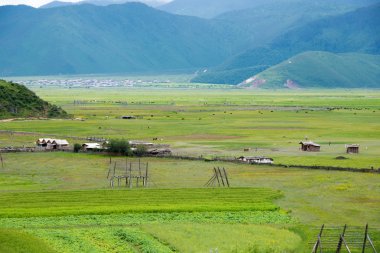 Shangrila, Çin - 31 Temmuz 2014: Napa Gölü. Antik kentin Shangrila, Yunnan, Çin'in ünlü bir manzara.