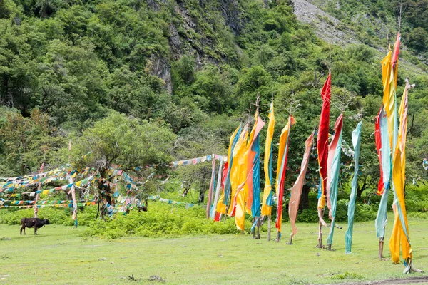Yubeng, china - 9. August 2014: Gebetsfahne im Dorf yubeng. ein berühmtes Wahrzeichen im tibetischen Dorf deqin, yunnan, China. — Stockfoto