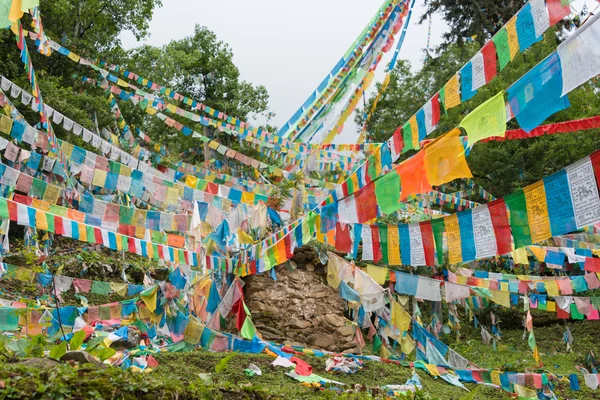 Deqin, Kina - aug 5 2014: bön flaggor på minyong glaciär. en berömd landskap i deqin, yunnan, Kina. — Stockfoto