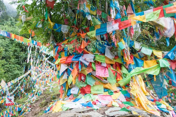 DEQIN, CHINA - 5 de agosto de 2014: Bandeiras de oração no Glaciar Minyong. uma paisagem famosa em Deqin, Yunnan, China . — Fotografia de Stock