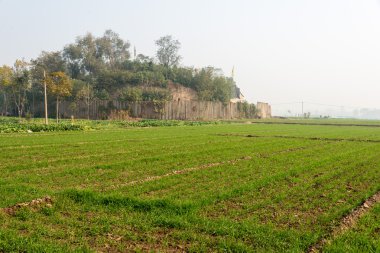 Henan, Çin - 17 Kasım 2014: erlitou kültür kalır. ünlü tarihi bir site yanshi, henan, Çin.