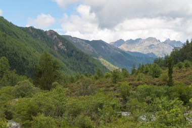 Sichuan, Çin - 24 Temmuz 2014: özel at kervan yading tabiatı. ünlü bir manzara daocheng, sichuan, Çin.