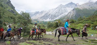 Sichuan, Çin - 24 Temmuz 2014: özel at kervan yading tabiatı. ünlü bir manzara daocheng, sichuan, Çin.