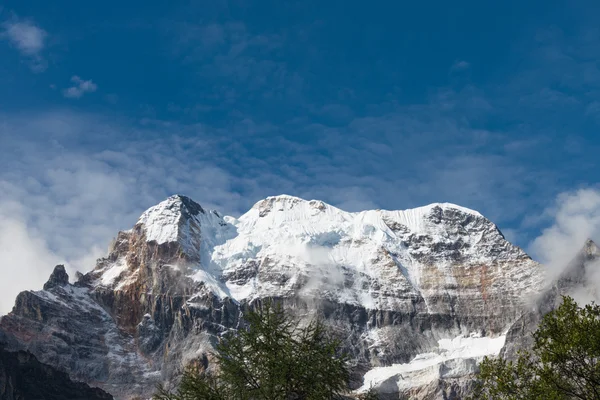 SICHUAN, CHINA - JUL 24 2014: Yading Nature Reserve. a famous la — Stock Photo, Image