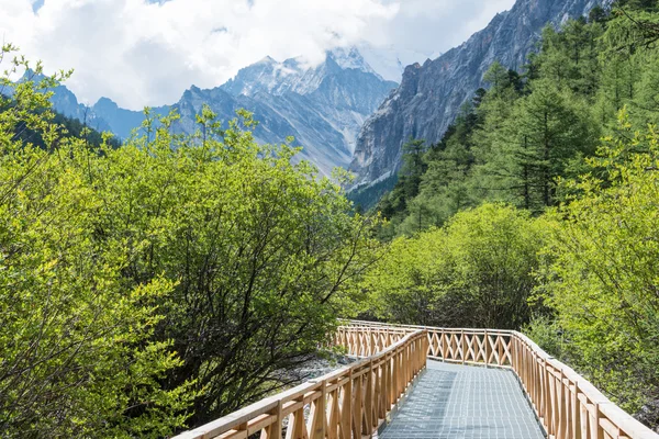 SICHUAN, CHINA - JUL 24 2014: Special Horse Caravan at Yading Nature Reserve. a famous landscape in Daocheng, Sichuan, China. — Stock Photo, Image