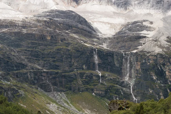 S '-čchuan, Čína - 24 července 2014: speciální koňská karavana v yading přírodní rezervace. slavný krajina v daocheng, s '-čchuan, Čína. — Stock fotografie