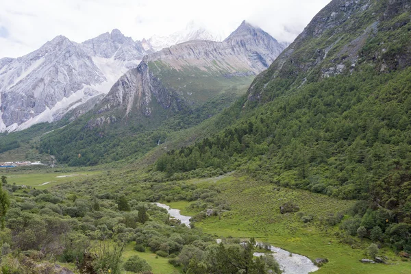 SICHUAN, CHINA - JUL 24 2014: Special Horse Caravan at Yading Nature Reserve. a famous landscape in Daocheng, Sichuan, China. — Stock Photo, Image