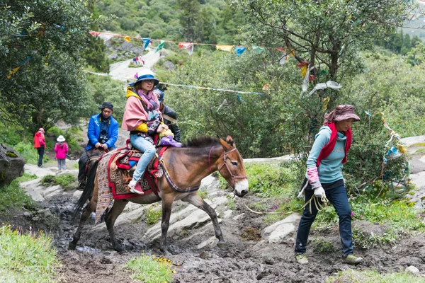 SICHUAN, CHINA - JUL 24 2014: Special Horse Caravan at Yading Nature Reserve. a famous landscape in Daocheng, Sichuan, China. — Stock Photo, Image